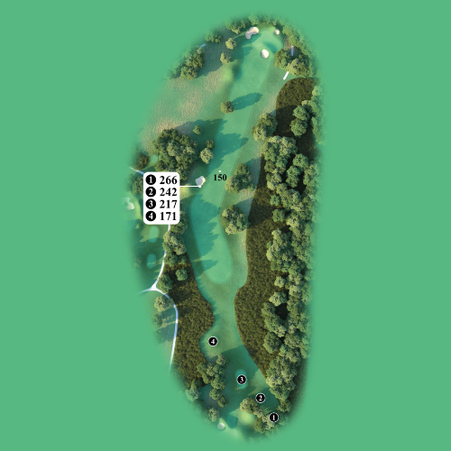 Hole 7